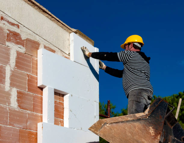 Best Insulation Removal  in Mount Hope, WV