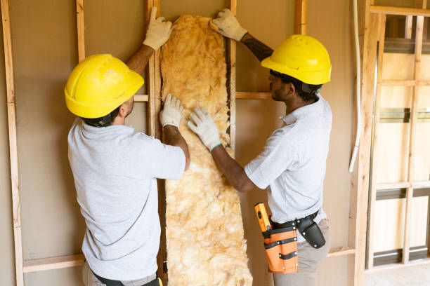 Best Wall Insulation Contractor  in Mount Hope, WV