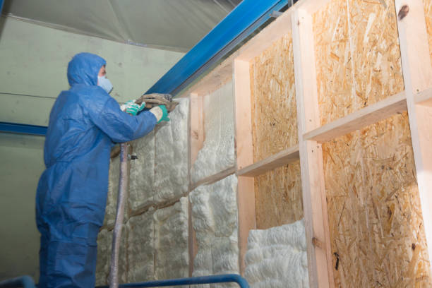 Professional Insulation Contractor in Mount Hope, WV